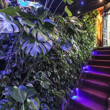 Mala Anglia - Boutique &