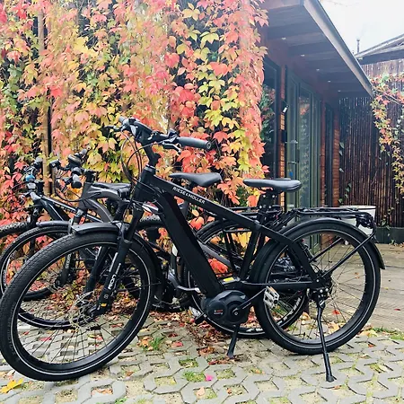 Mala Anglia - Boutique &